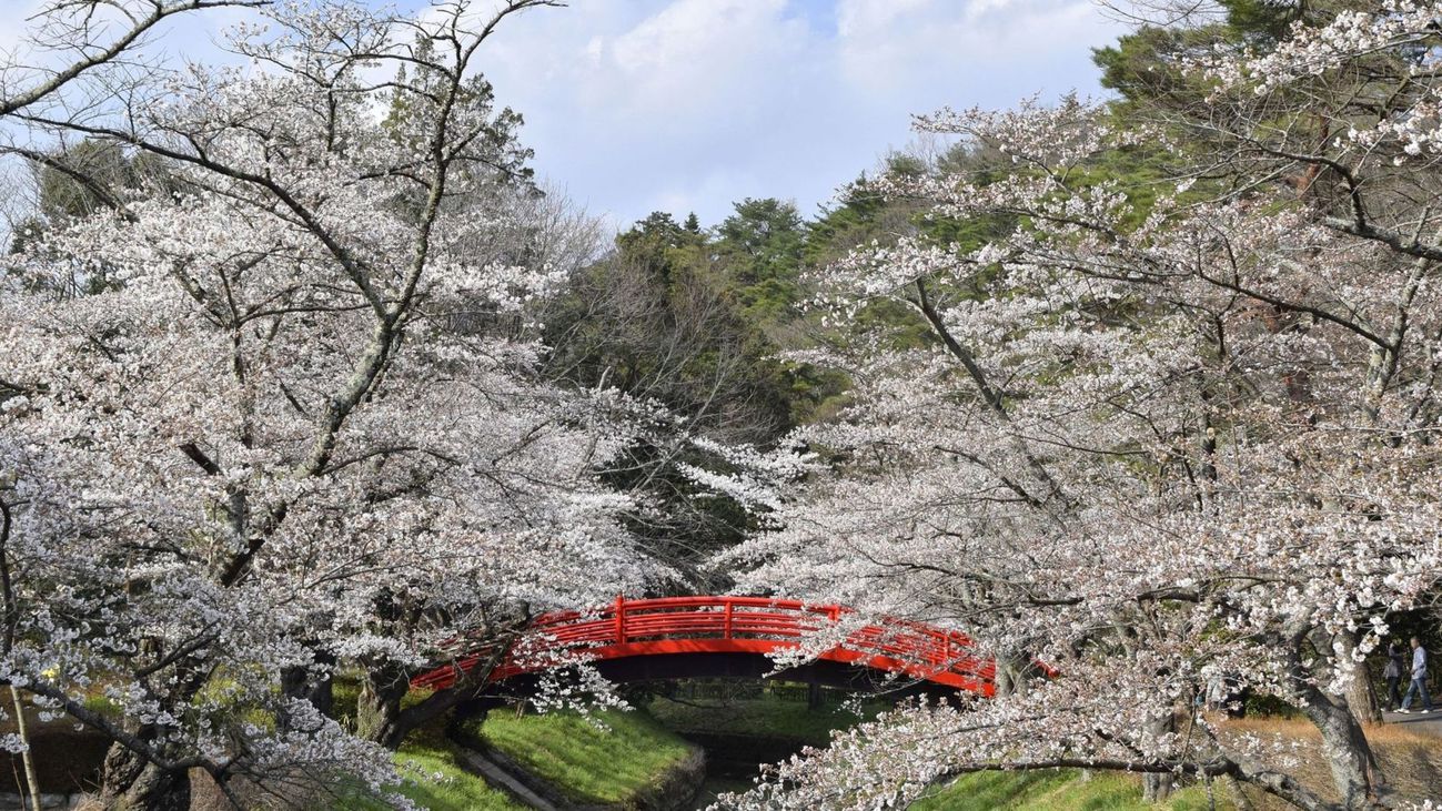 翠ヶ丘公園