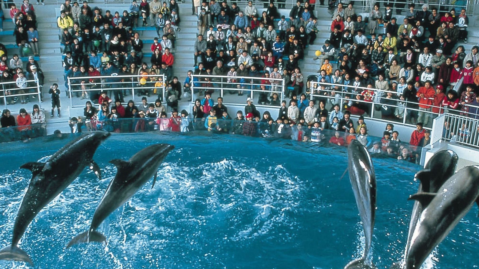 下関市立しものせき水族館・海響館