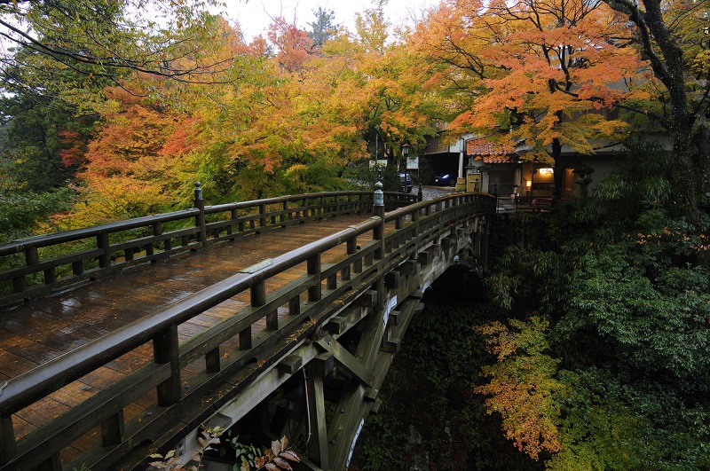 こおろぎ橋紅葉