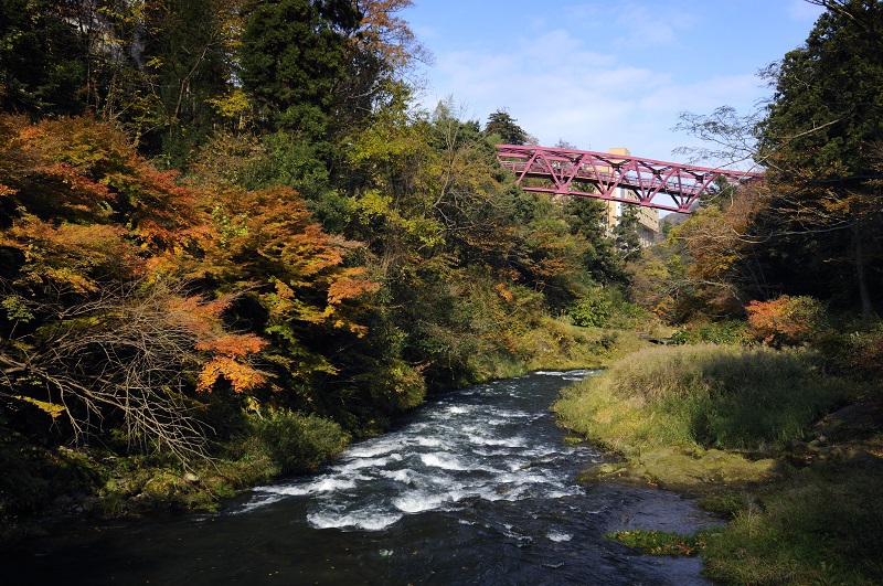 あやとり橋紅葉