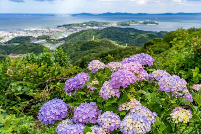 三ヶ根山からの眺め初夏の三河湾