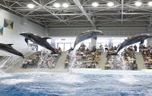 イオワールド鹿児島水族館