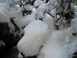 雪景色ー庭