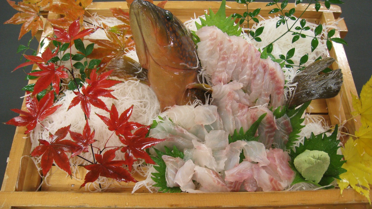 【活魚姿造り】活魚プランのメイン料理！当日の水揚げ状況によって魚の種類は変動いたします