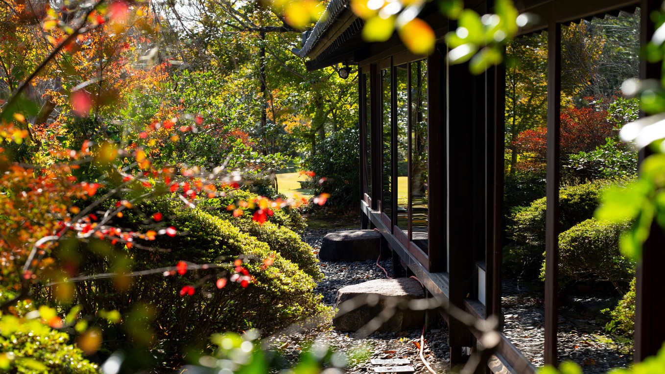 紅葉風景