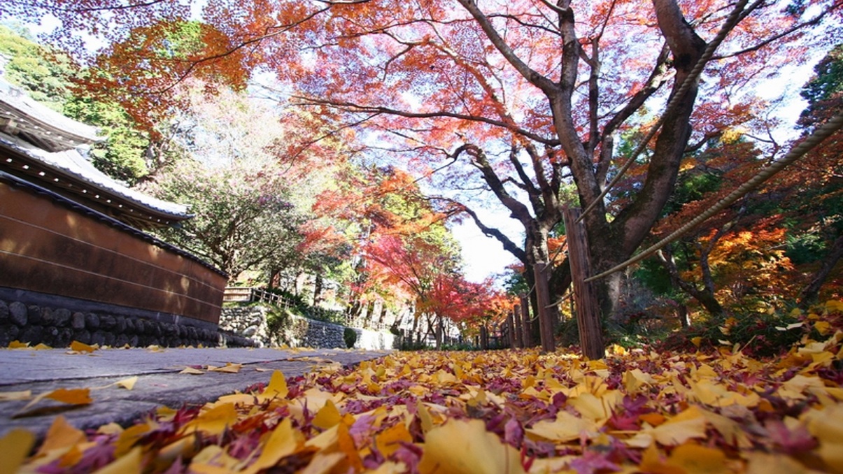 観光：法多山紅葉