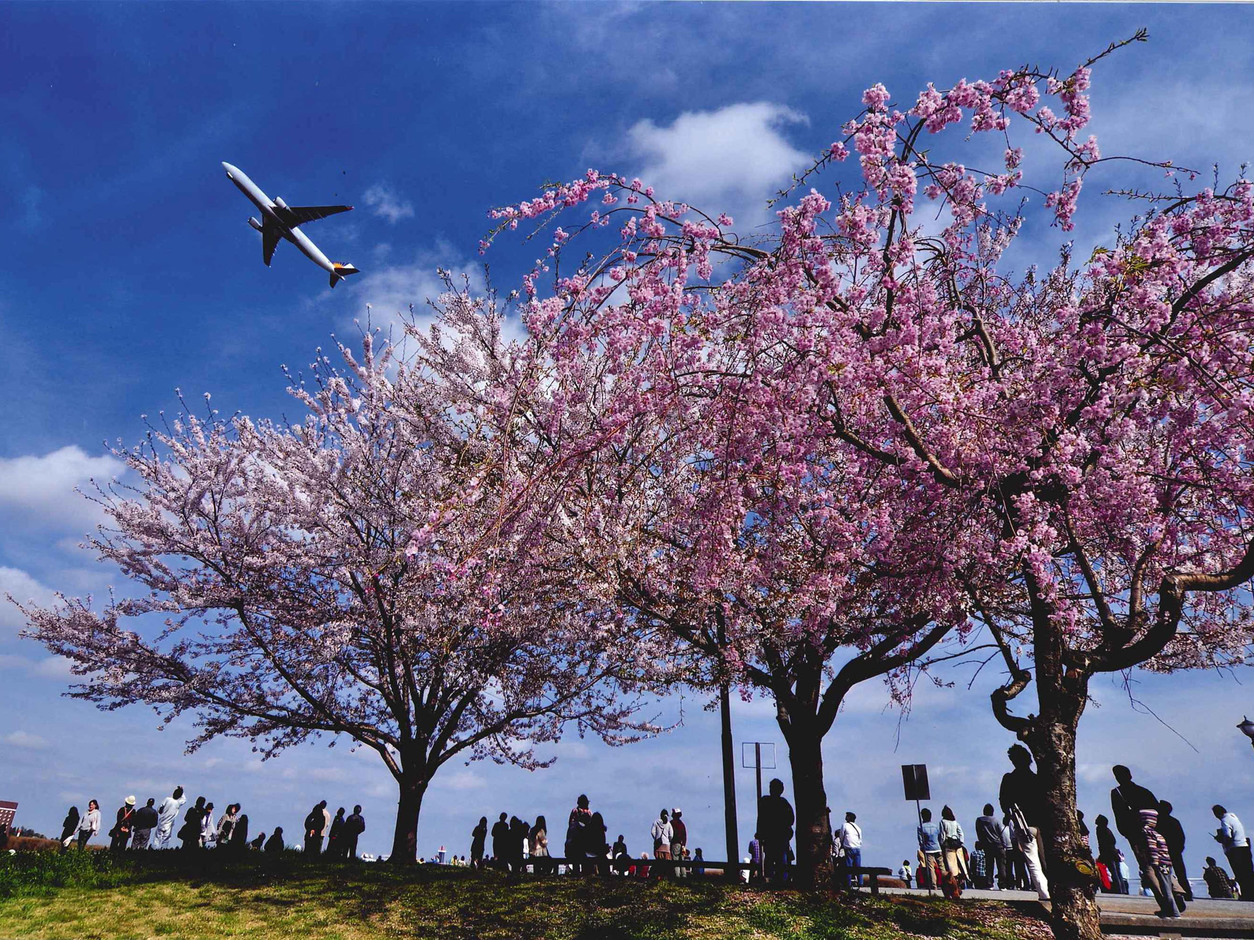 【桜が見えるホテルで春を楽しもう!!!】朝食付きプラン　-湯楽城月曜定休日-