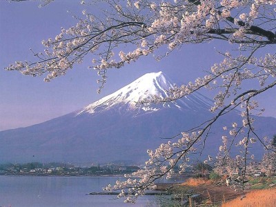 富士山と桜（5月）
