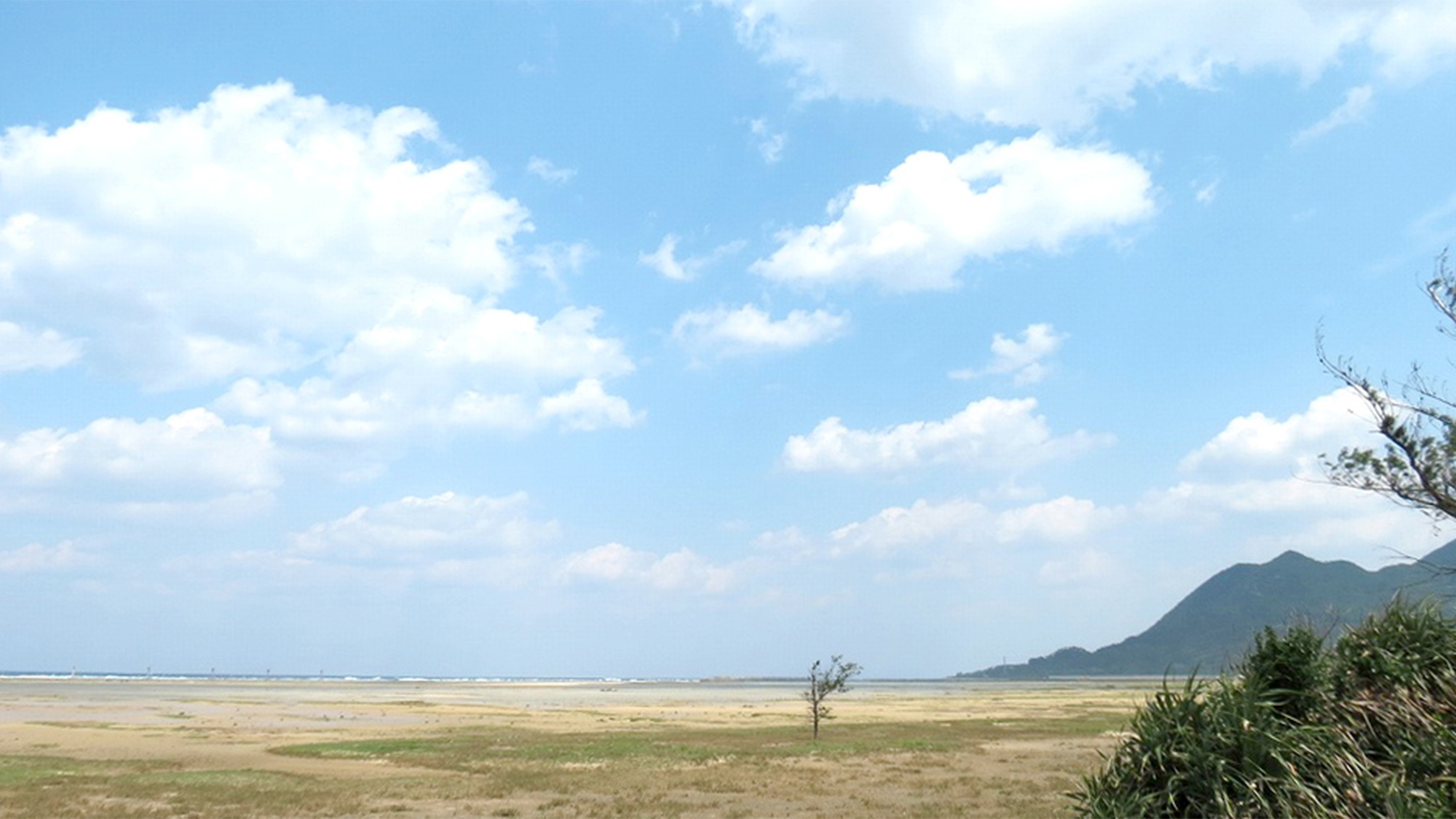 ・民宿からの眺め。海まで歩いて行ける距離です