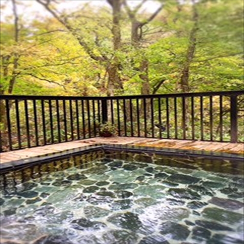 Shinobu Onsen Nonbirikan Image 4, Fukushima, Japan