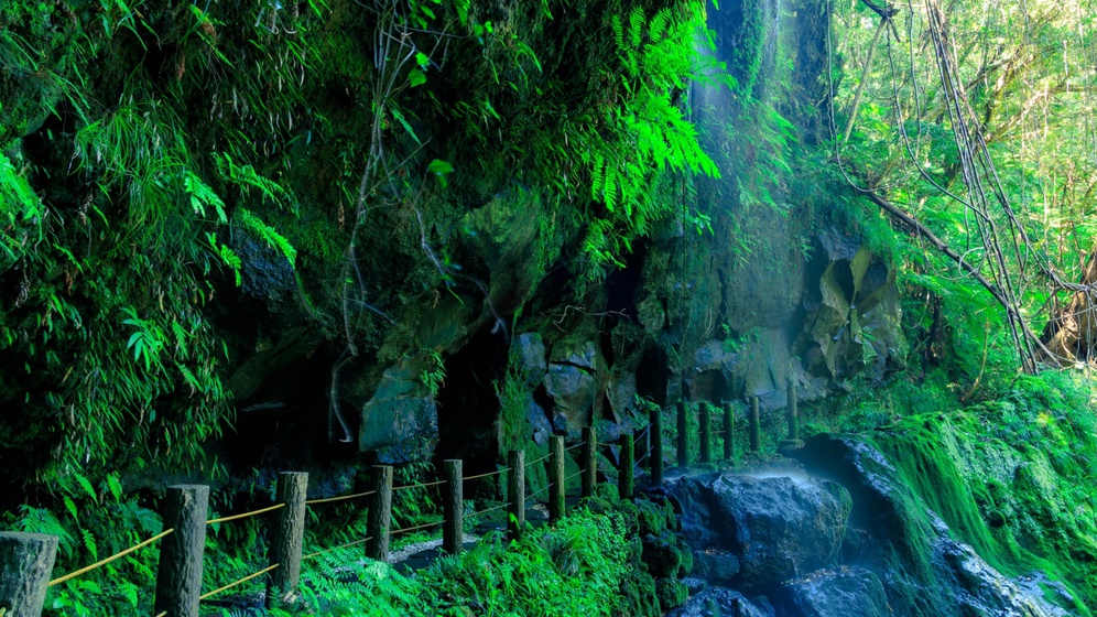 *裏見ケ滝／八丈島南部、裏から流れ出る滝を眺めることができる珍しいスポット。