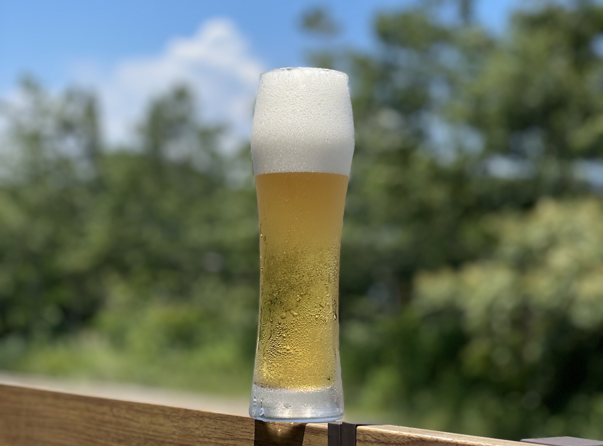 生ビール