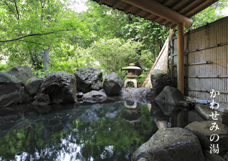 かわせみの湯