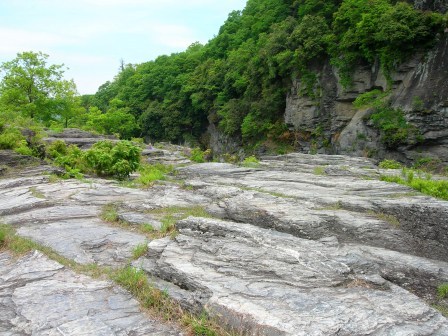 初夏岩畳