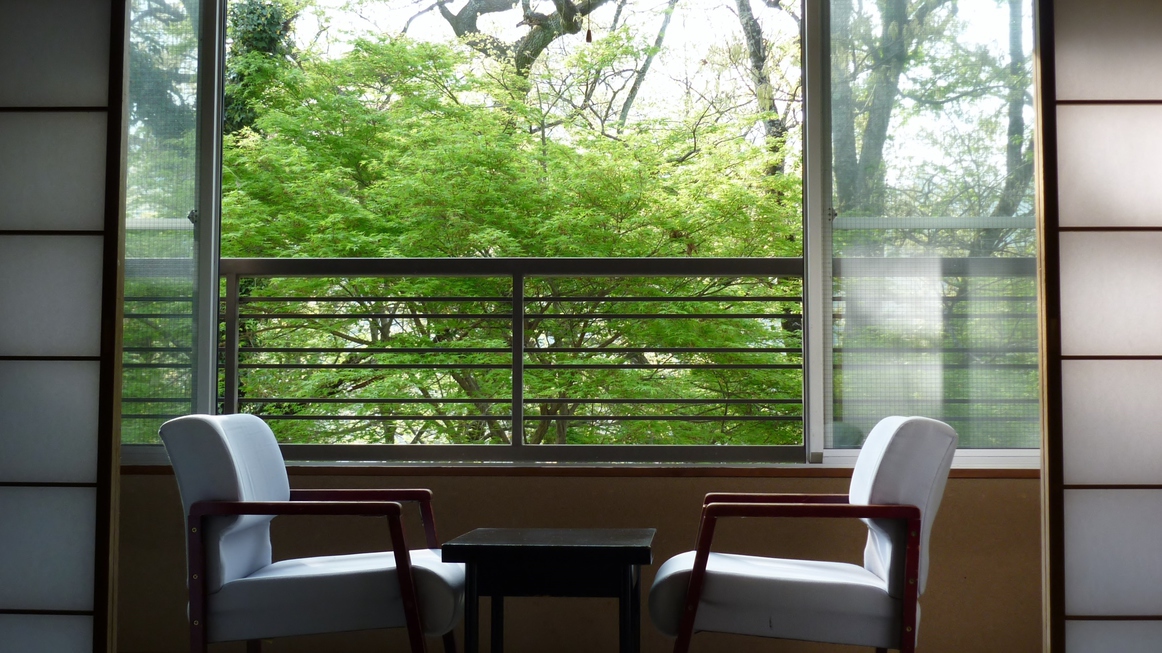 客室からの眺め〜新緑〜