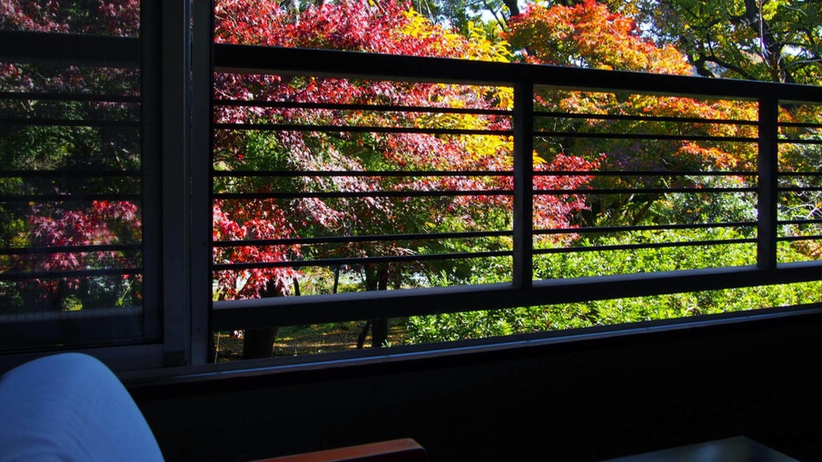 客室からの眺め〜紅葉色づき始め〜