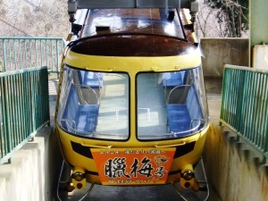 蝋梅号
