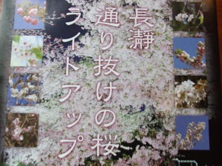 桜ライトアップ