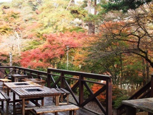 テラス紅葉