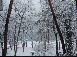 雪景色