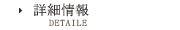 詳細情報