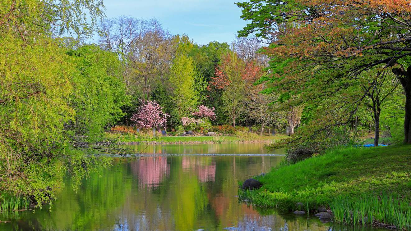 季節ごとに景観が異なり何度でも訪れたくなる中島公園（春イメージ）桜の開花はGWごろ（当館より徒歩3分