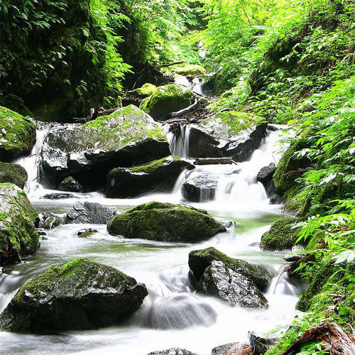 【天滝】日本の滝100選」に選定されています。