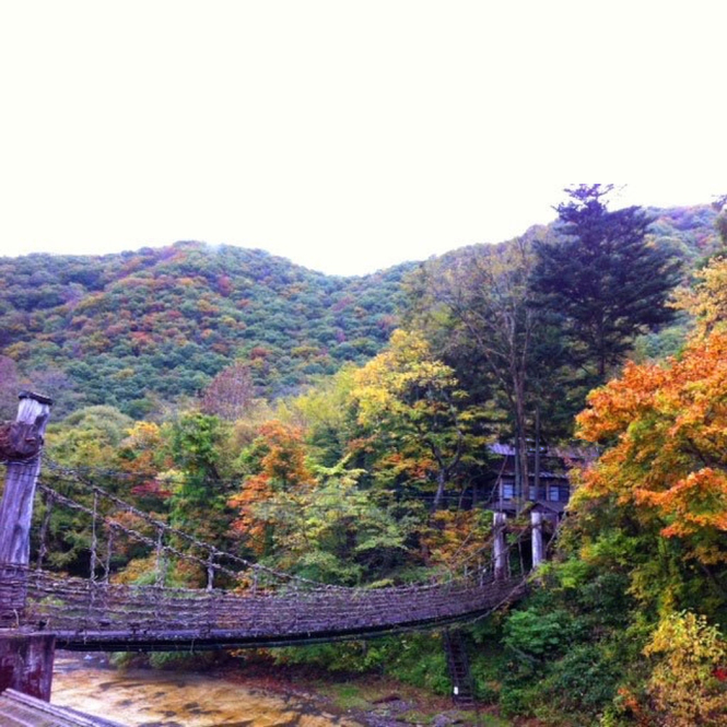 紅葉を愛でるかずら橋