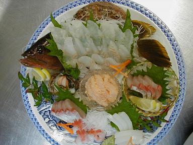 天然アコウ姿造り