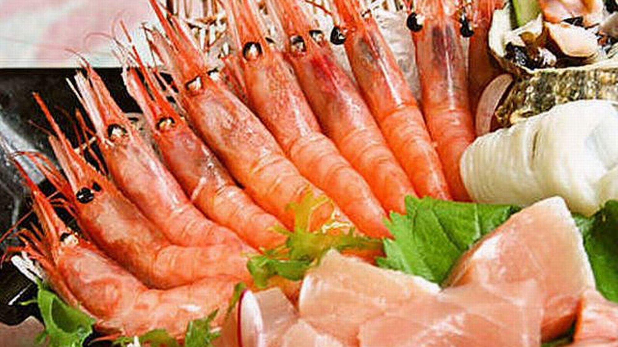 【舟盛】※日本海の味覚とれとれピチピチの旬魚をドーンと！海近くのお宿だから魚がウマイ♪