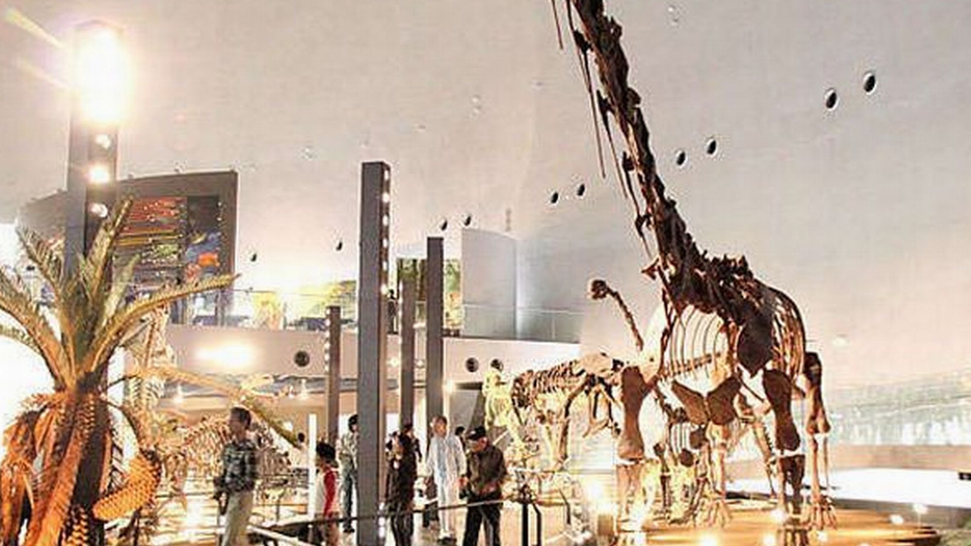 【恐竜博物館】恐竜王国ふくいにふさわしい世界クラスの施設「福井県恐竜博物館」