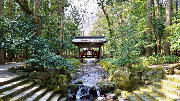 弥彦神社