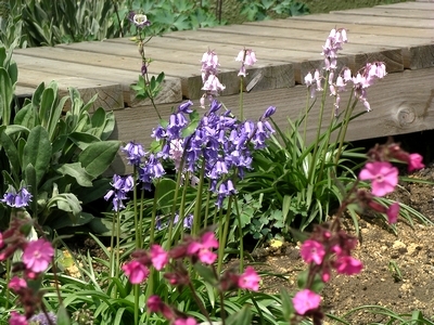 花壇