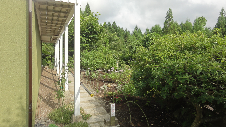やすらぎ荘庭