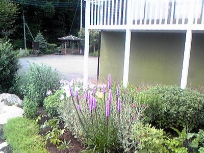 花壇