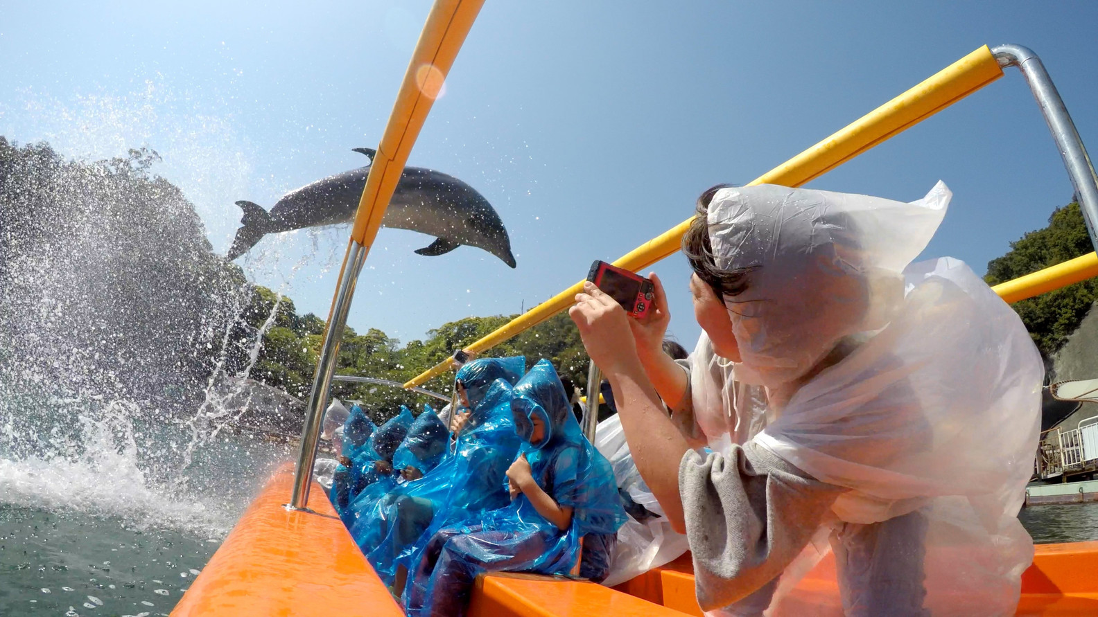 下田海中水族館