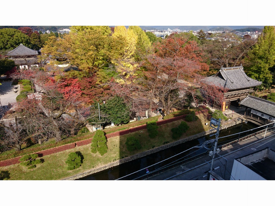 秋のばんな寺