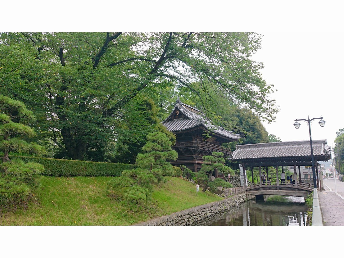 深緑の太鼓橋