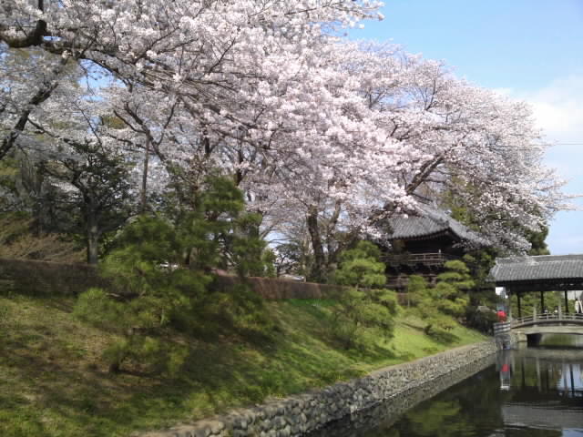 ホテル正面（春の景色）