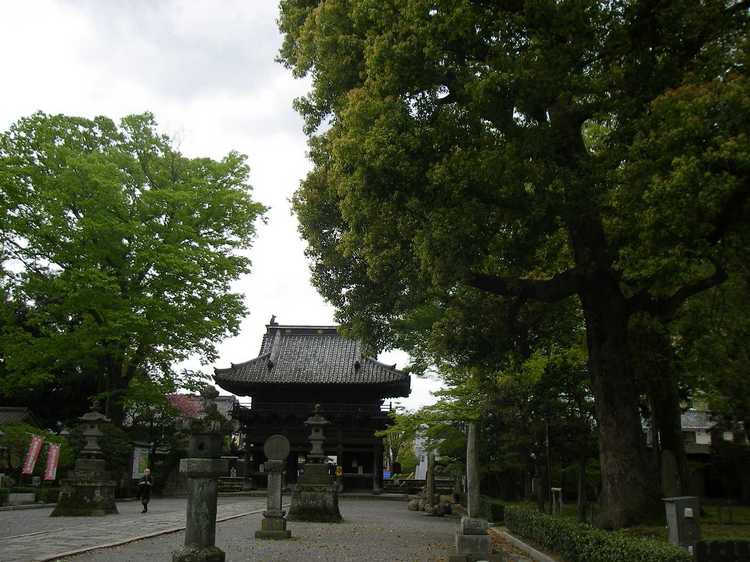 夏の風景