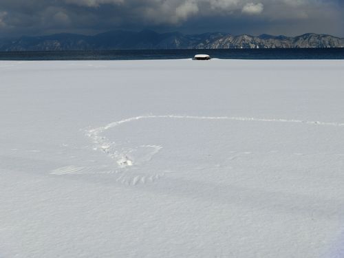 冬の海と・・・