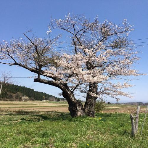 おかりや公園幕末弘前藩陣屋跡