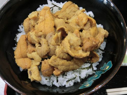 平舘名物：生うに丼