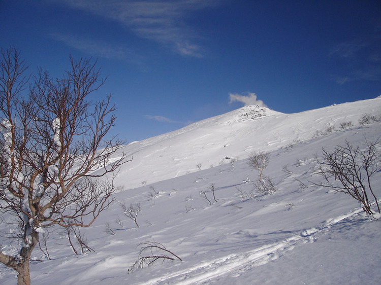 【スノーシューツアー】間近に見える冬の十勝岳（十勝岳コース）