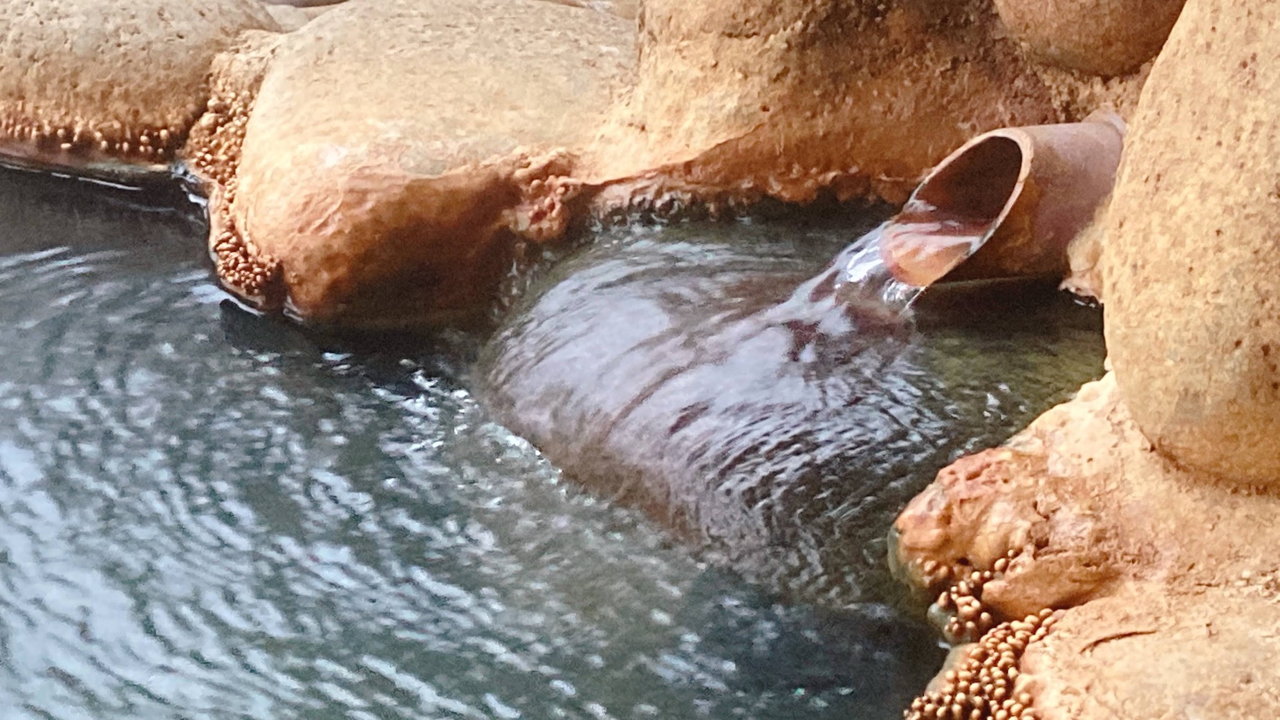 かけ流しの天然温泉