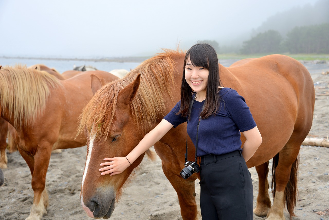 尻屋崎 寒立馬