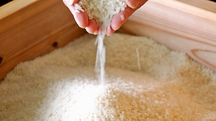 自家製米庄原産「こしひかり」
