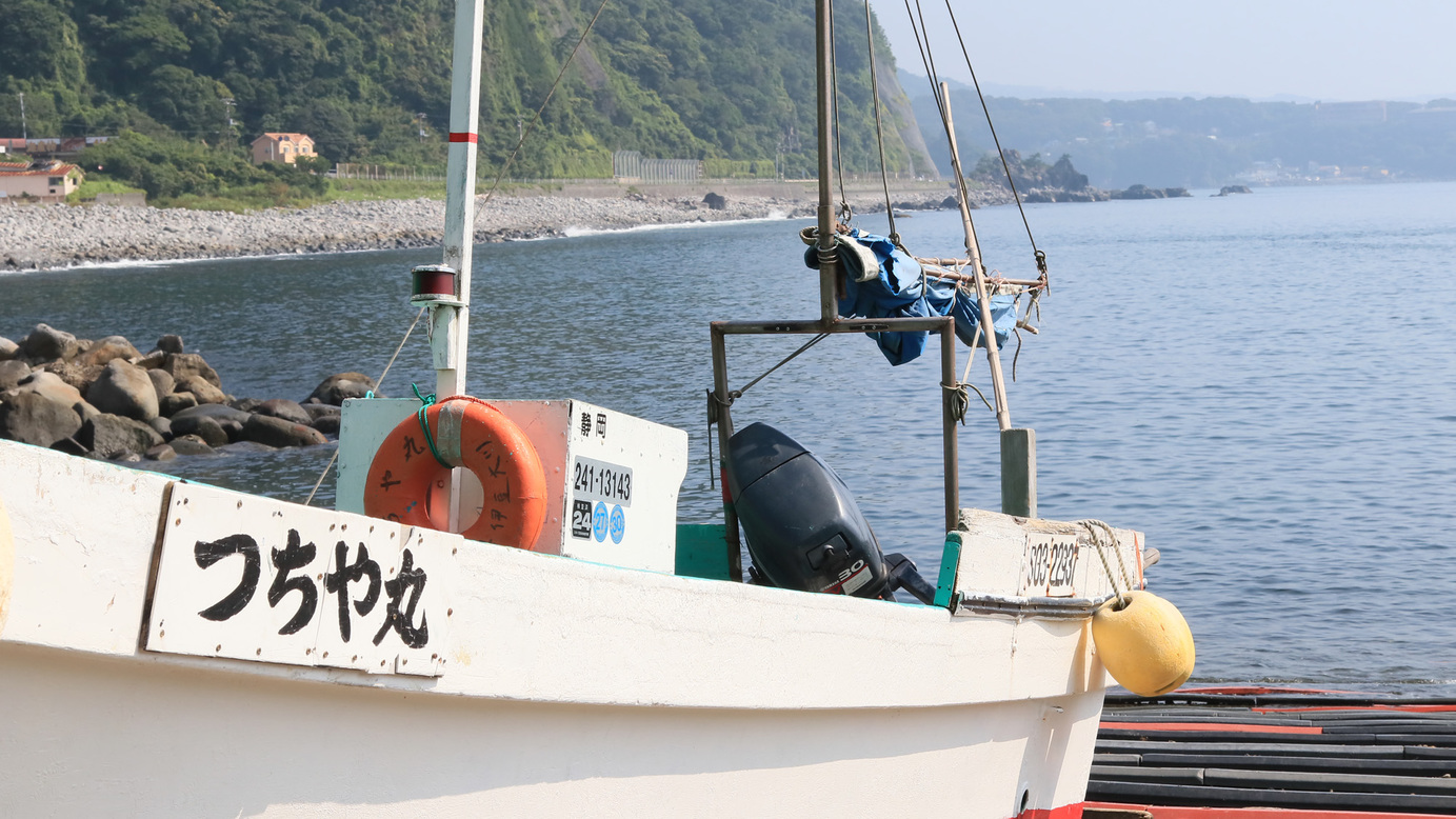 親戚の漁師から新鮮な魚介を仕入れます♪