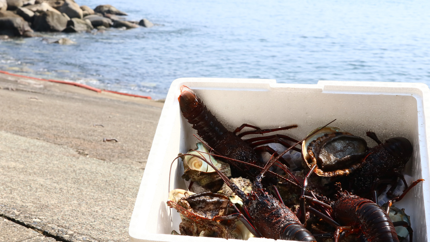 大川漁港で獲れた鮮度抜群の魚介