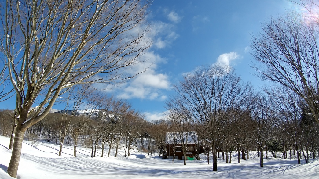 雪の中のコテージⅠ